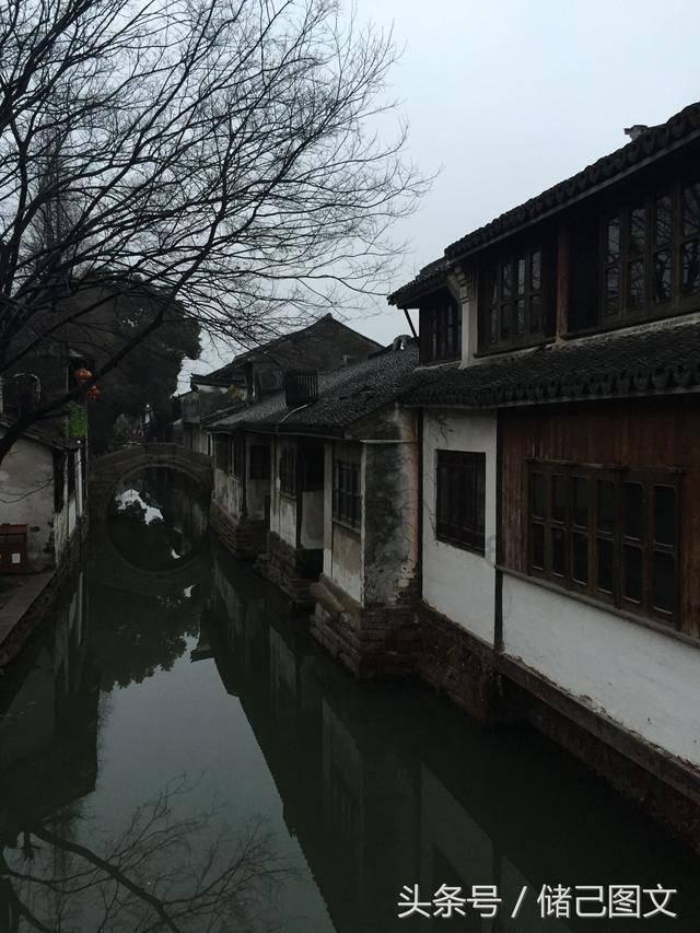 仓鼠学拼音